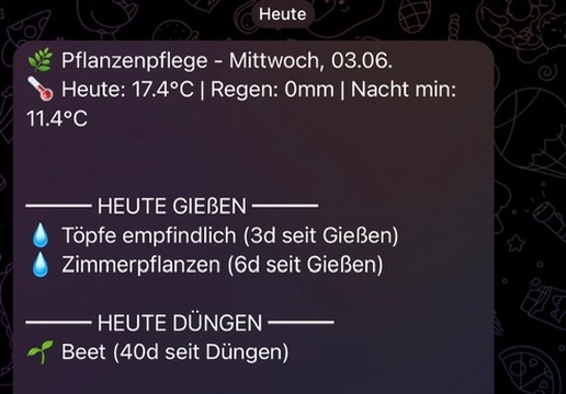 Pflanzenpflege